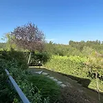 Paradise - Nature And Wellness